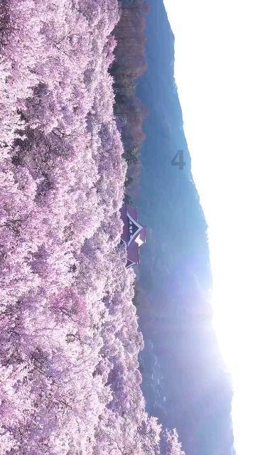 昆明市政协秘书长许绍忠:实干担当 促进发展
