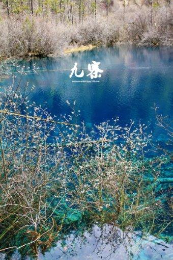 张国焘叛逃后，最后为什么前往加拿大，他的晚年又是怎样度过的？