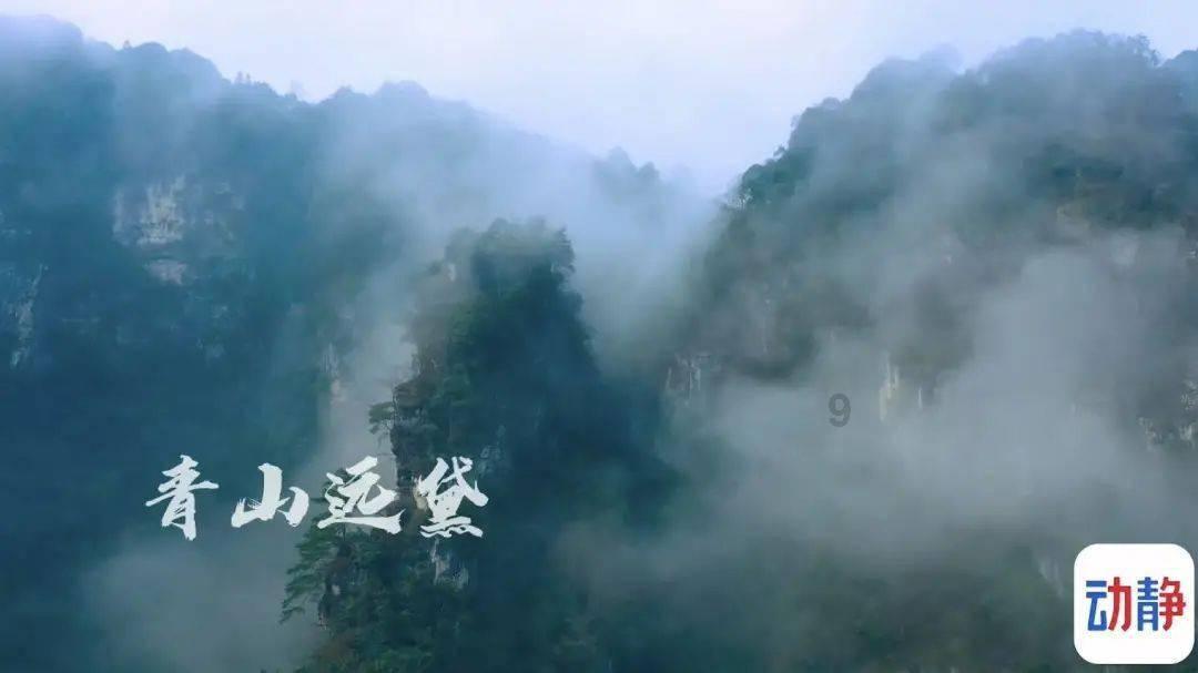 月光影视