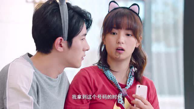 组装机械机甲暴龙2