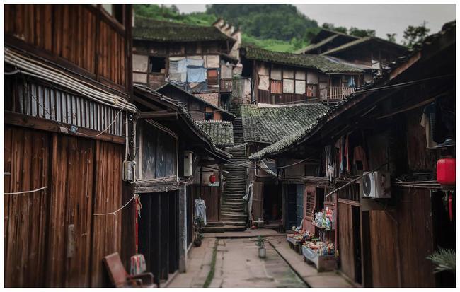 浙江一大爷家树枝过界,男子建房被挡想砍掉,他说什么都不让砍树